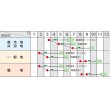 画像2: 送料無料　[白菜]　ちよぶき70　20ml　（株）サカタのタネ (2)