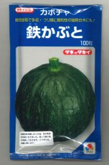 画像: 送料無料　[かぼちゃ]　鉄かぶと　100粒　(瓜類台木使用可)　タキイ種苗(株)