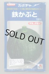 画像: 送料無料　[かぼちゃ]　鉄かぶと　100粒　(瓜類台木使用可)　タキイ種苗(株)