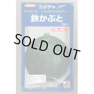 画像: 送料無料　[かぼちゃ]　鉄かぶと　100粒　(瓜類台木使用可)　タキイ種苗(株)