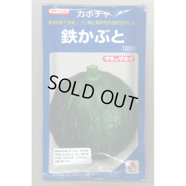 画像1: 送料無料　[かぼちゃ]　鉄かぶと　100粒　(瓜類台木使用可)　タキイ種苗(株) (1)