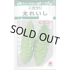 画像: 送料無料　[ゴーヤ]　太れいし　12ml　タキイ種苗(株)　GF