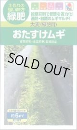 画像: 送料無料　[緑肥]　大麦(緑肥用)おたすけムギ　小袋(約5平方メートル分)　タキイ種苗(株)