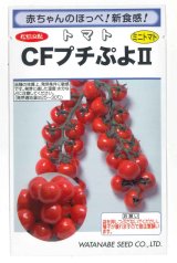 画像: 送料無料　[トマト/ミニトマト]　CFプチぷよ2　(100粒)　(株)渡辺採種場