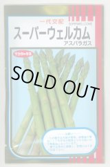 画像: 送料無料　[アスパラガス]　スーパーウェルカム　20ml　(株)サカタのタネ