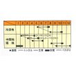 画像2: 送料無料　[大根]　藤くるり　3ml　松永種苗(株) (2)