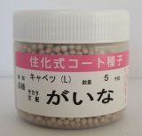 画像: 送料無料　[キャベツ]　がいな　コート5千粒　（株）サカタのタネ