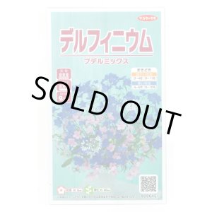 画像: 送料無料　花の種　デルフィニウム　プデルミックス　小袋(約40粒)　(株)サカタのタネ　実咲500（101562）