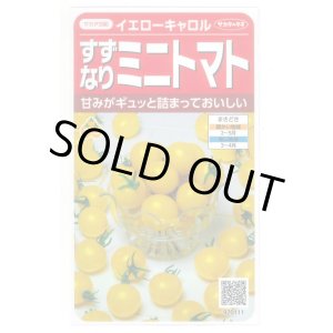 画像: 送料無料　[トマト/ミニトマト]　イエローキャロル　15粒　(株)サカタのタネ　実咲450（004026）