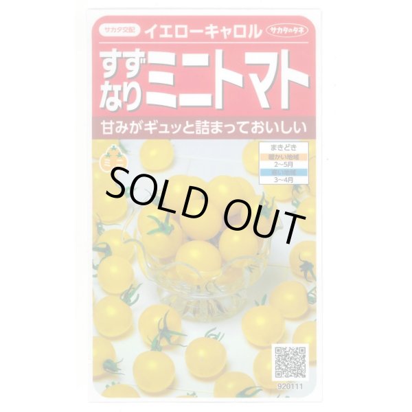 画像1: 送料無料　[トマト/ミニトマト]　イエローキャロル　15粒　(株)サカタのタネ　実咲450（004026） (1)