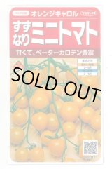 画像: 送料無料　[トマト/ミニトマト]　オレンジキャロル　15粒　(株)サカタのタネ　実咲450（004027）