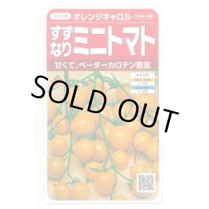 画像: 送料無料　[トマト/ミニトマト]　オレンジキャロル　15粒　(株)サカタのタネ　実咲450（004027）