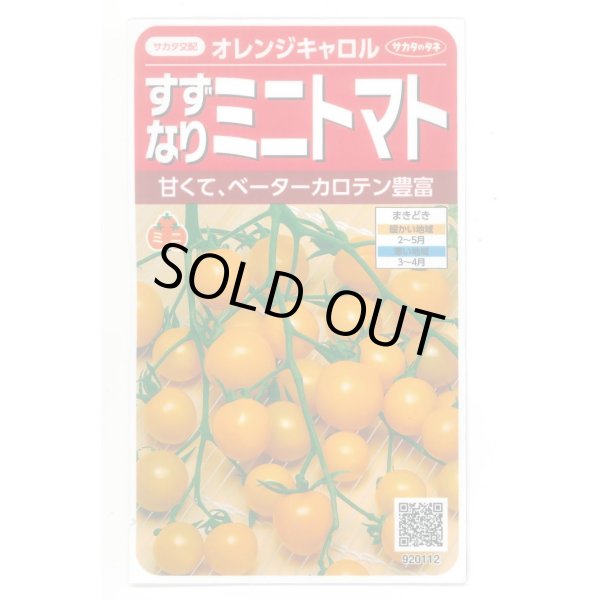 画像1: 送料無料　[トマト/ミニトマト]　オレンジキャロル　15粒　(株)サカタのタネ　実咲450（004027） (1)