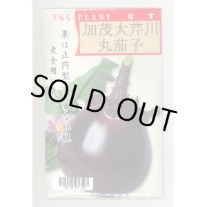 画像: 送料無料　[なす]　京野菜　加茂大芹川丸茄子　20ml　(株)タカヤマシード