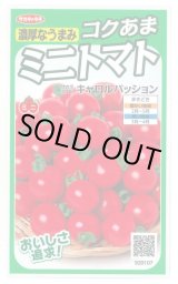 画像: 送料無料　[トマト/ミニトマト]　キャロルパッション　12粒　(株)サカタのタネ　実咲450（002826）