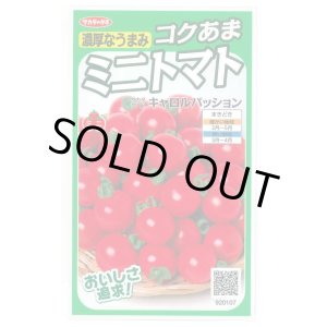 画像: 送料無料　[トマト/ミニトマト]　キャロルパッション　12粒　(株)サカタのタネ　実咲450（002826）