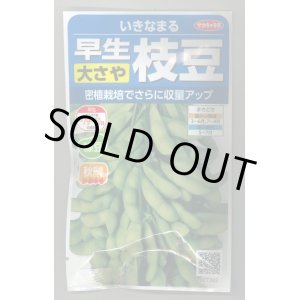 画像: 送料無料　[枝豆]　いきなまる　約40粒　(株)サカタのタネ　実咲350　（003157）　　　　　　　　　　　　　　　　　　　　　　　　　　　　　　　　　　　　