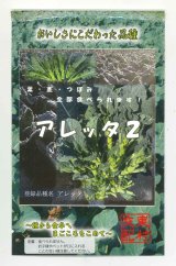 画像: 送料無料　[葉物]　アレッタ2　1ml　裸種子(およそ150粒)　　松永種苗（株）