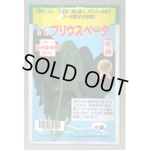 画像: 送料無料　[ほうれんそう]　ほうれんそう　プリウスベータ　小袋(40ml)　トキタ種苗(株)