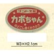 画像3: 青果シール　カボちゃん　100枚入り　ナント種苗(株) (3)