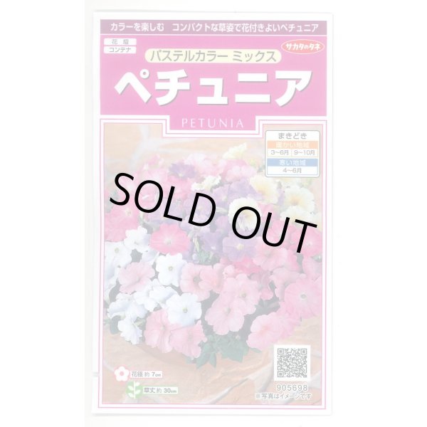 画像1: 送料無料　花の種　ペチュニア　パステルカラーミックス　約50粒　(株)サカタのタネ　実咲350（026163） (1)