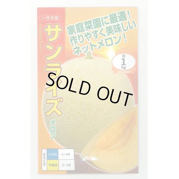 送料無料 [メロン] サンライズ 100粒 ナント種苗(株)(野菜種/スイカ・メロン・瓜類)グリーンロフトネモト直営