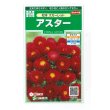 画像1: 送料無料　花の種　アスター　松本スカーレット　約190粒　(株)サカタのタネ　実咲250（026205） (1)