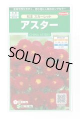 画像: 送料無料　花の種　アスター　松本スカーレット　約190粒　(株)サカタのタネ　実咲250（026205）