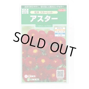 画像: 送料無料　花の種　アスター　松本スカーレット　約190粒　(株)サカタのタネ　実咲250（026205）