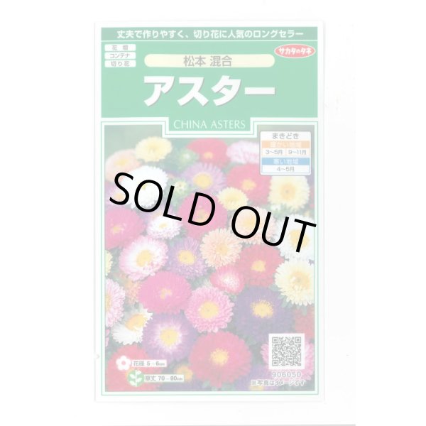 画像1: 送料無料　花の種　アスター　松本混合　約190粒　(株)サカタのタネ　実咲250（026204） (1)