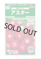 画像: 送料無料　花の種　アスター　松本ローズ　約190粒　(株)サカタのタネ　実咲250（026207）