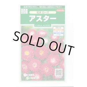 画像: 送料無料　花の種　アスター　松本ローズ　約190粒　(株)サカタのタネ　実咲250（026207）