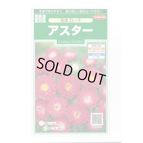 画像1: 送料無料　花の種　アスター　松本ローズ　約190粒　(株)サカタのタネ　実咲250（026207） (1)