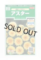 画像: 送料無料　花の種　アスター　松本イエロー　約190粒　(株)サカタのタネ　実咲250（026209）