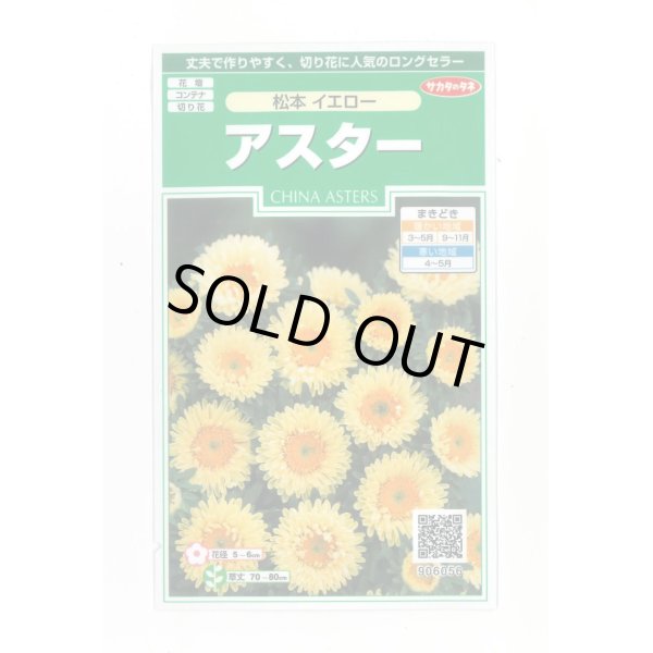 画像1: 送料無料　花の種　アスター　松本イエロー　約190粒　(株)サカタのタネ　実咲250（026209） (1)