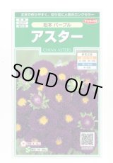 画像: 送料無料　花の種　アスター　松本パープル　約190粒　(株)サカタのタネ　実咲250（026210）