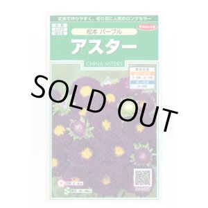 画像: 送料無料　花の種　アスター　松本パープル　約190粒　(株)サカタのタネ　実咲250（026210）