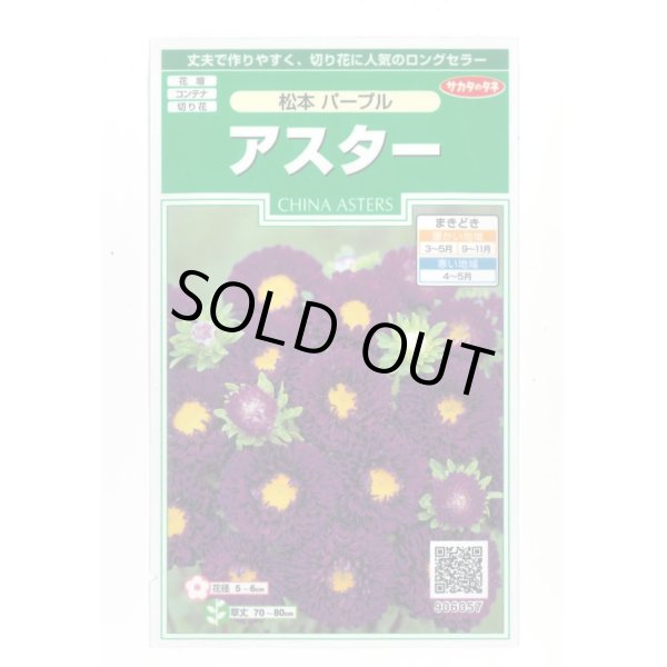 画像1: 送料無料　花の種　アスター　松本パープル　約190粒　(株)サカタのタネ　実咲250（026210） (1)