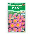 画像1: 送料無料　花の種　アスター　松本ピンク　約190粒　(株)サカタのタネ　実咲250（026208） (1)