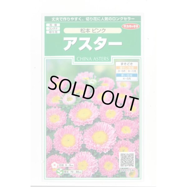 画像1: 送料無料　花の種　アスター　松本ピンク　約190粒　(株)サカタのタネ　実咲250（026208） (1)