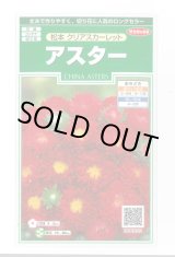 画像: 送料無料　花の種　アスター　松本クリアスカーレット　約190粒　(株)サカタのタネ　実咲250（026206）