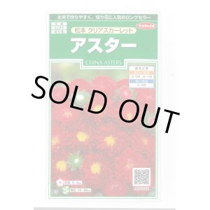 画像: 送料無料　花の種　アスター　松本クリアスカーレット　約190粒　(株)サカタのタネ　実咲250（026206）