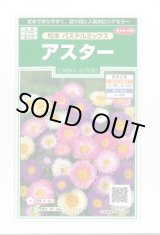 画像: 送料無料　花の種　アスター　松本　パステルミックス　約190粒　(株)サカタのタネ　実咲250（026213）