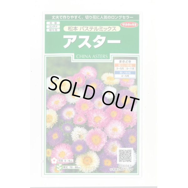 画像1: 送料無料　花の種　アスター　松本　パステルミックス　約190粒　(株)サカタのタネ　実咲250（026213） (1)