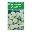 画像1: 送料無料　花の種　アスター　松本ホワイト　約190粒　(株)サカタのタネ　実咲250（026211） (1)