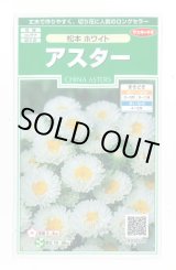 画像: 送料無料　花の種　アスター　松本ホワイト　約190粒　(株)サカタのタネ　実咲250（026211）