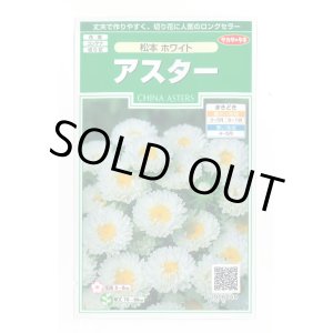 画像: 送料無料　花の種　アスター　松本ホワイト　約190粒　(株)サカタのタネ　実咲250（026211）