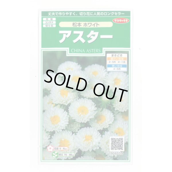 画像1: 送料無料　花の種　アスター　松本ホワイト　約190粒　(株)サカタのタネ　実咲250（026211） (1)