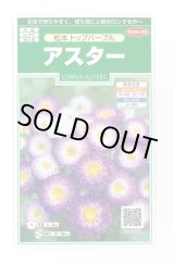 画像: 送料無料　花の種　アスター　松本トップパープル　約190粒　(株)サカタのタネ　実咲250（026212）