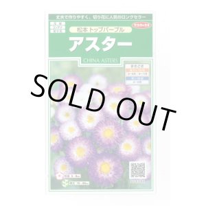 画像: 送料無料　花の種　アスター　松本トップパープル　約190粒　(株)サカタのタネ　実咲250（026212）